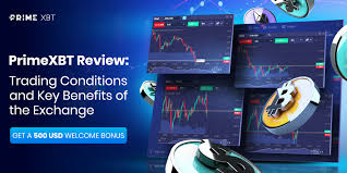 Scopri il Potere del Copy Trading PrimeXBT