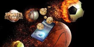Discover the World of Sports Nutrition at olimpgel.com