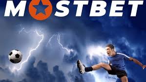 How to Choose an Ideal Betting Platform for Your Needs